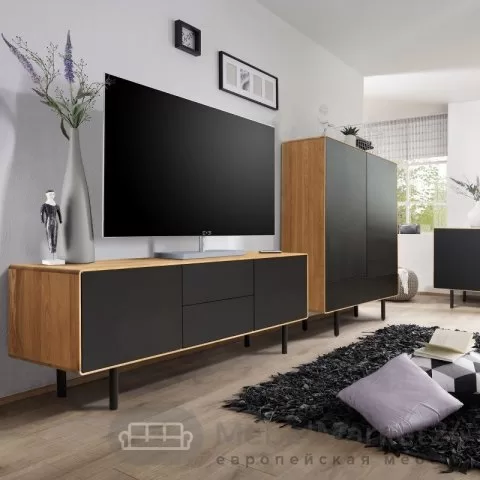 ТВ тумба B&W 3.2.2 из массива дуба